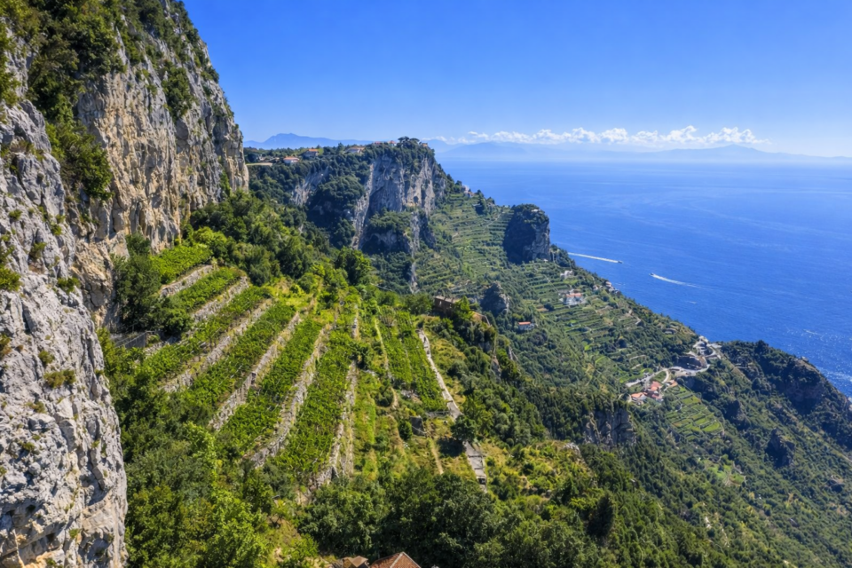 Vigneti di Furore in Costiera Amalfitana